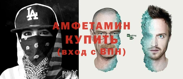 стафф Ельня
