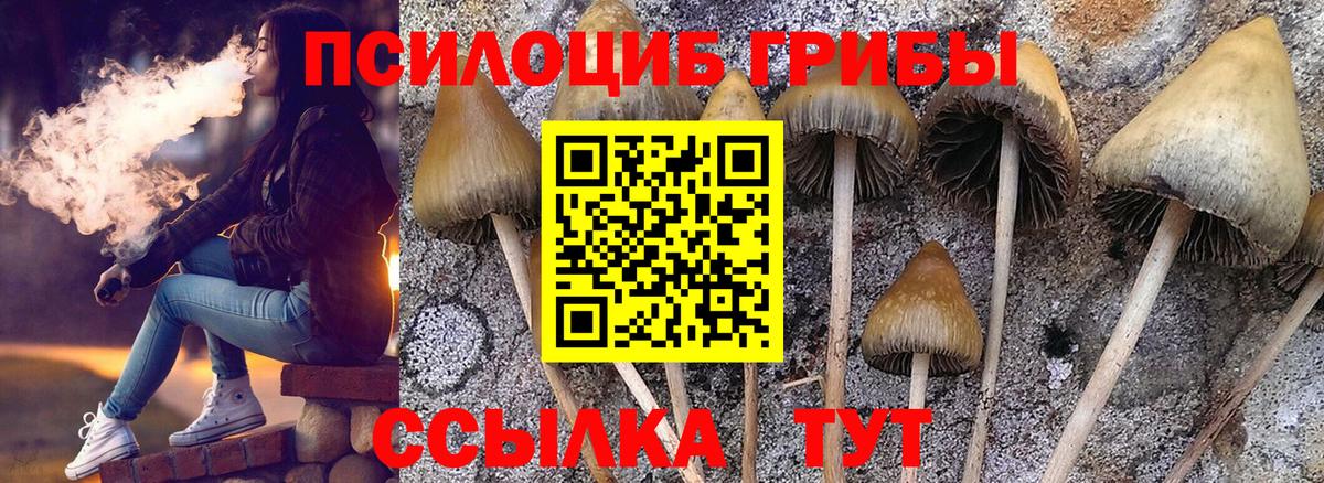 Галлюциногенные грибы мицелий Мичуринск