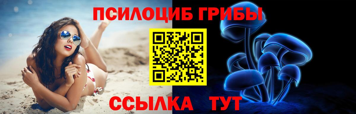 Псилоцибиновые грибы прущие грибы  где продают наркотики  Вход с VPN  Мичуринск  Псилоцибиновые грибы GOLDEN TEACHER 